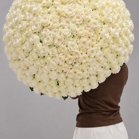 Премиум букет из 301 белой розы. Шикарный букет, flowers.