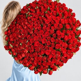 Букет из 251 красной розы, flowers rose.