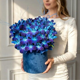 Букет Орхидея Космос. Монобукет 631. Leora Flowers дом цветочной моды