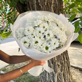 Букет «Ромашка»