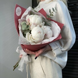 Букет пионов боул оф крим