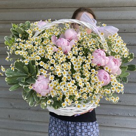 Корзина с ромашками, пионами и питтоспорумом