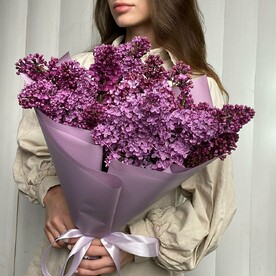 Моно букет из сирени