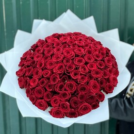 Роза ред наоми, Белая матовая