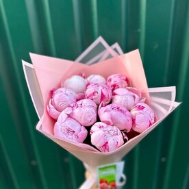 Пионы розовые 9шт сара бернар