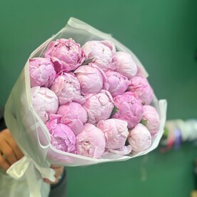 Пионы розовые сара бернар 15шт