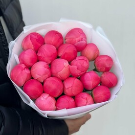 Пион корал шарм