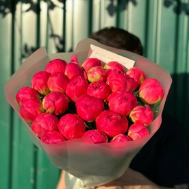 Букет из 25 пионов Coral Charm