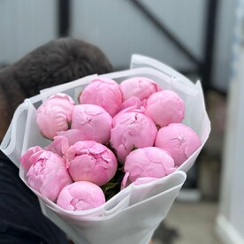 Пион розовый