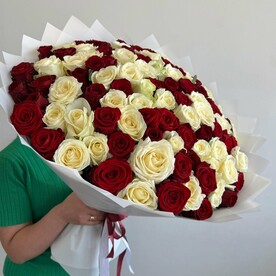 101 роза микс белые и красные розы 60см