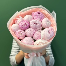 Пионы розовые сара бернар