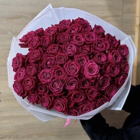 51 роза малиновые розы шангрилла 60см