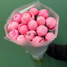 Пион салмон шиффон