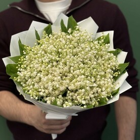 Ландыши 201шт