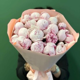 Пионы розовые Италия Сара Бернар 19шт