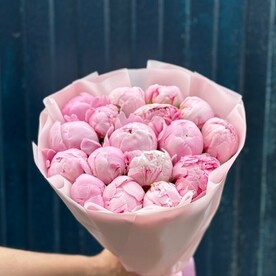 Пионы розовые Сара Бернар 15шт