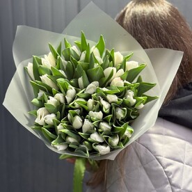 Тюльпаны белые 49шт