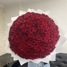 201 красная роза ред наоми