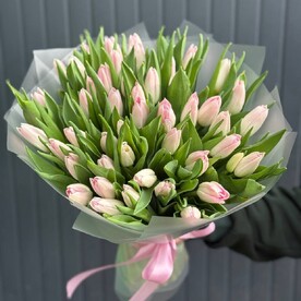 Тюльпаны розовые 49шт голландские