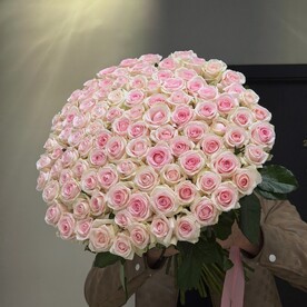 101 роза свит ревиваль 60см