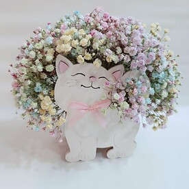 Гипсофила, Коробка Котенок, Оазис