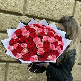 Роза красная, Роза джумилия, Пленка матовая
