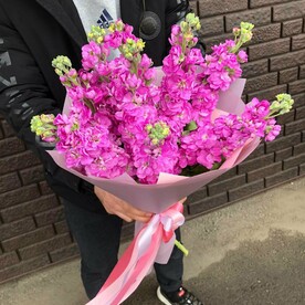 Маттиола розовая шт, Пленка шт, шт