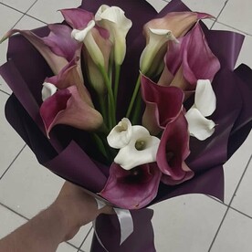 Калла, Калла, Пленка матовая