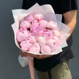 Пион сара бернард, Пленка матовая