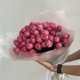 Роза кустовая, Пленка матовая