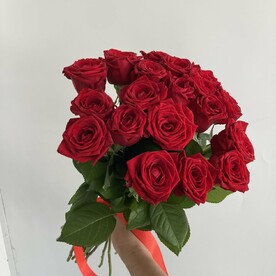 Роза красная