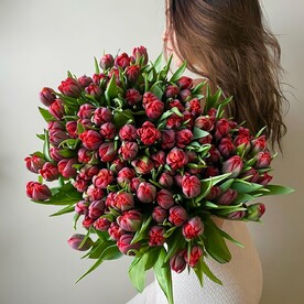 Тюльпан
