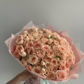 Роза свит сара шт, Пленка корейская шт, шт