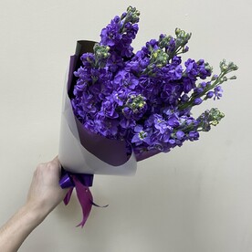Маттиола шт, Пленка дизайнерская шт, шт