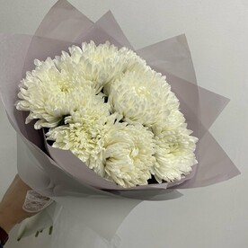 Хризантема антонов, Пленка дизайнерская, Тишью