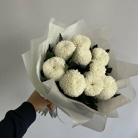 Хризантема момоко, Пленка дизайнерская, Тишью