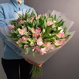 Бело-розовые альстромерии 27шт