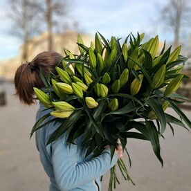 Ароматные белые лилии 11шт
