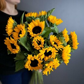 Солнечные мини подсолнухи 15шт
