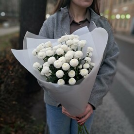 Нежные хризантемы шарики Ньютон