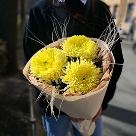 Стойкие солнечные хризантемы со стифой