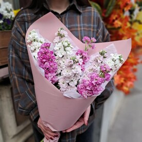 Нежные ароматные маттиолы микс 9шт