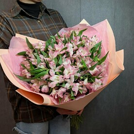 Нежно-розовая альстромерия 25шт