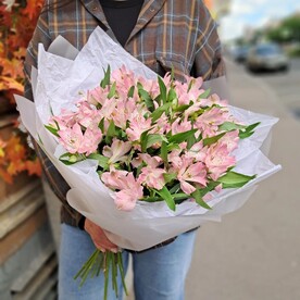 Клубничные альстромерии 17шт