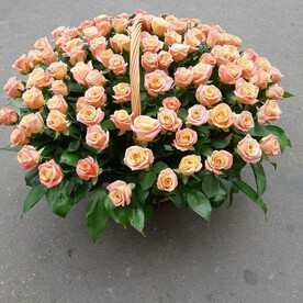 Роза мисс пигги, Рускус, Оазис флористический, Корзина плетеная