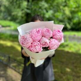 Пионы розовые 7 шт