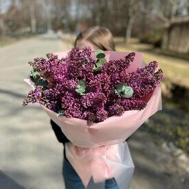 Сирень ароматная