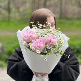 Розовые пионы с ромашками