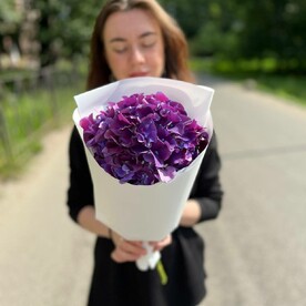 Яркая лиловая гортезия