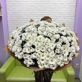 Хризантема кустовая, Крафт